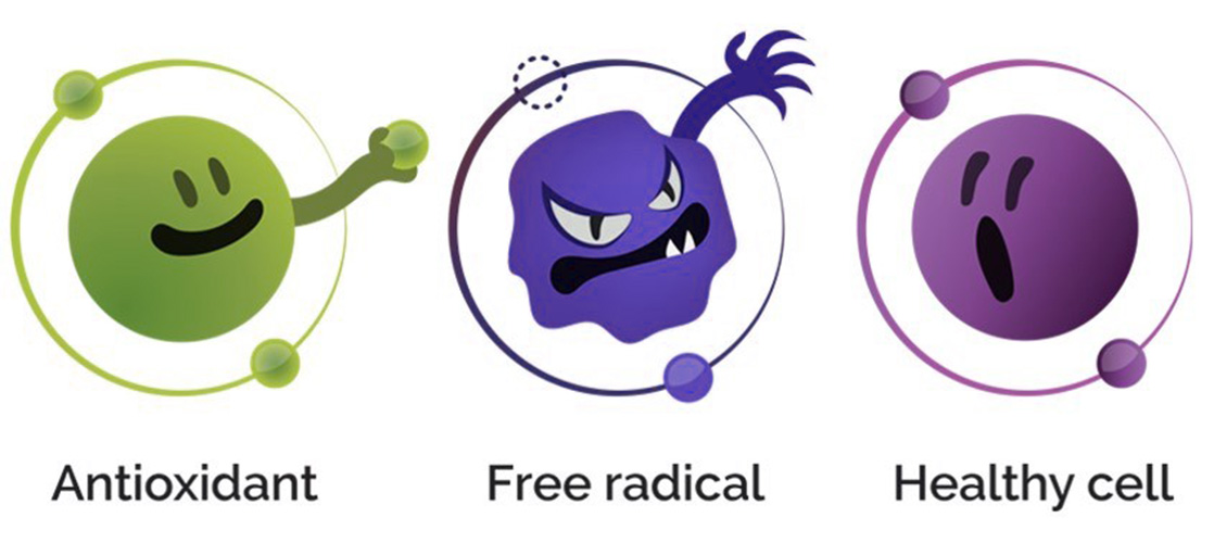 Mekanisme Reaksi Radikal Bebas Reactive Oxygen Spesie vrogue.co